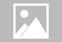 九游体育包含法甲倒计时；多伦多猛龙今晚遗憾出局；细节引发关注；更衣室稳定；轮换策略成焦点的词条